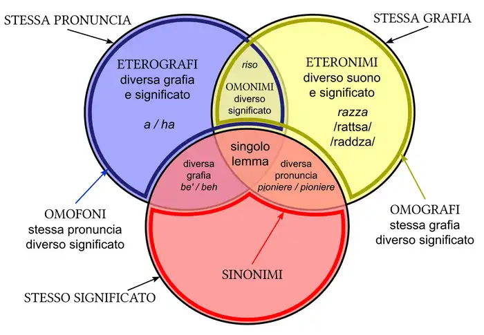 Sinonimia